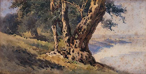 Landschaft